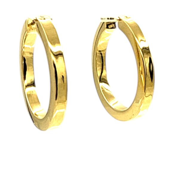 Gold Hoops