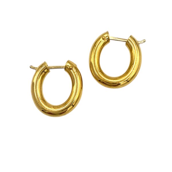 Gold Hoop Earrings