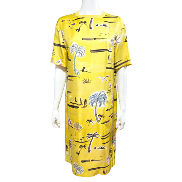 Agnona Dress
