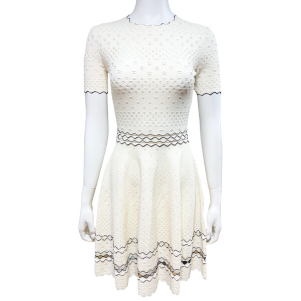 Alexander McQueen Dress