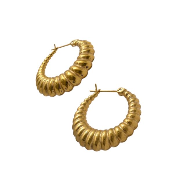 Gold Hoop Earrings