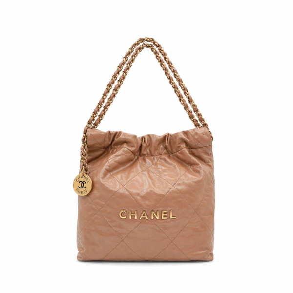 Chanel 22 Small Hobo