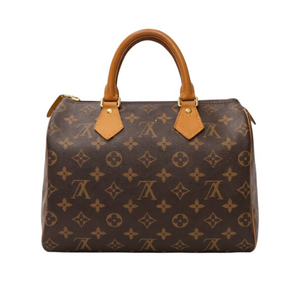 Louis Vuitton Speedy 25 Top Handle