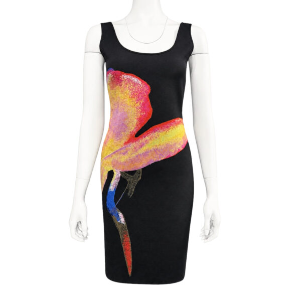 Alexander McQueen Dress