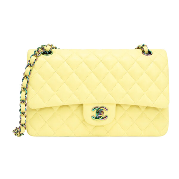 Chanel Classic Double Flap Shoulder Bag