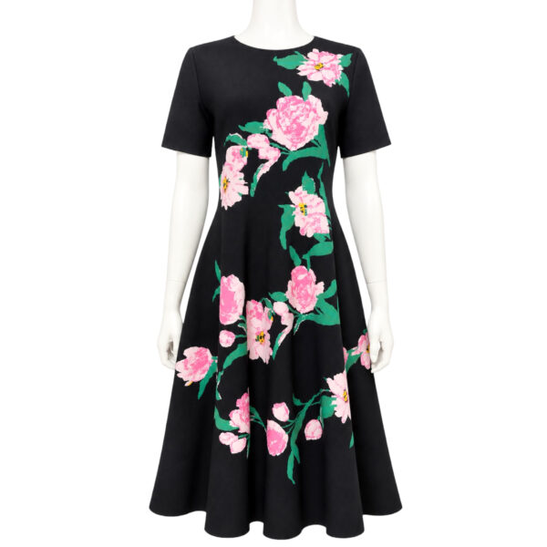 Carolina Herrera Dress