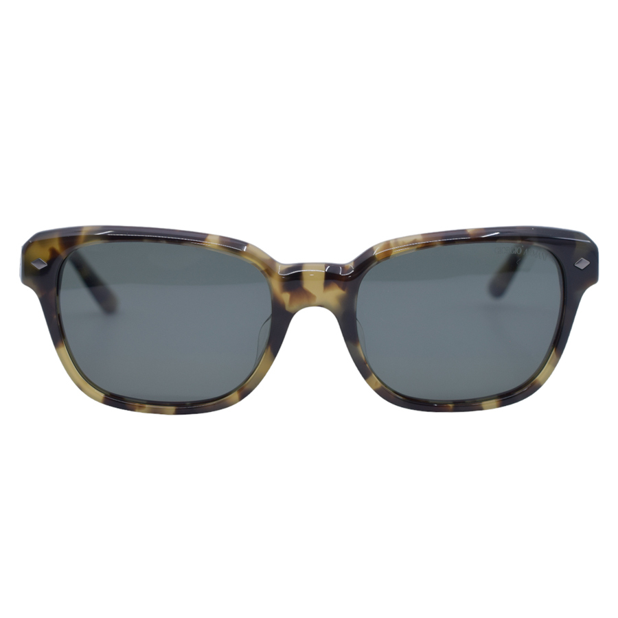 armani-light-tortoise-sunglasses-1